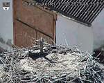 Capi_Dubne_20250811_163503.jpg