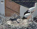 Capi_Dubne_20250811_172002.jpg