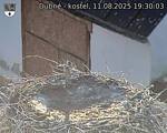 Capi_Dubne_20250811_193003.jpg