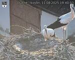 Capi_Dubne_20250811_194003.jpg