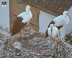 Capi_Dubne_20250811_200504.jpg