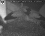Capi_Dubne_20250811_213002.jpg