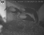Capi_Dubne_20250811_213503.jpg
