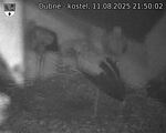 Capi_Dubne_20250811_215002.jpg