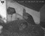 Capi_Dubne_20250811_221502.jpg