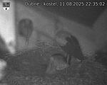 Capi_Dubne_20250811_223502.jpg