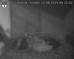 Capi_Dubne_20250812_001002.jpg