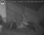 Capi_Dubne_20250812_001503.jpg