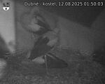 Capi_Dubne_20250812_015003.jpg