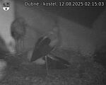 Capi_Dubne_20250812_021503.jpg