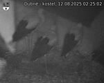 Capi_Dubne_20250812_022502.jpg