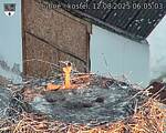 Capi_Dubne_20250812_060503.jpg