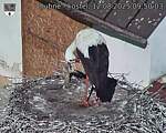 Capi_Dubne_20250812_095003.jpg