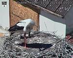 Capi_Dubne_20250812_130503.jpg