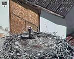 Capi_Dubne_20250812_135003.jpg