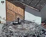 Capi_Dubne_20250812_141003.jpg