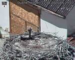 Capi_Dubne_20250812_142503.jpg