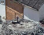 Capi_Dubne_20250812_152503.jpg