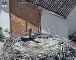 Capi_Dubne_20250812_153503.jpg