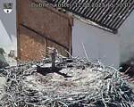 Capi_Dubne_20250812_155002.jpg
