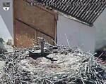 Capi_Dubne_20250812_155503.jpg