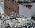 Capi_Dubne_20250812_160003.jpg