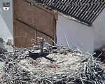 Capi_Dubne_20250812_160503.jpg