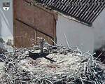 Capi_Dubne_20250812_161003.jpg