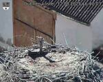 Capi_Dubne_20250812_164003.jpg