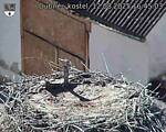 Capi_Dubne_20250812_164503.jpg