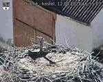 Capi_Dubne_20250812_165503.jpg