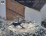 Capi_Dubne_20250812_170503.jpg