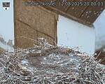Capi_Dubne_20250812_200003.jpg