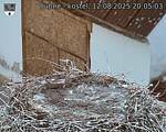 Capi_Dubne_20250812_200503.jpg