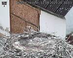 Capi_Dubne_20250812_203003.jpg