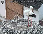 Capi_Dubne_20250812_203503.jpg