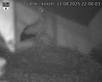 Capi_Dubne_20250812_220003.jpg