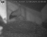 Capi_Dubne_20250812_220503.jpg