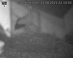 Capi_Dubne_20250812_221002.jpg