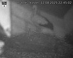 Capi_Dubne_20250812_224503.jpg