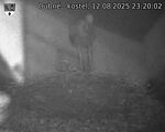 Capi_Dubne_20250812_232002.jpg