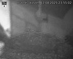 Capi_Dubne_20250812_235502.jpg