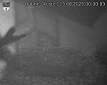 Capi_Dubne_20250813_000003.jpg