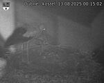 Capi_Dubne_20250813_001502.jpg
