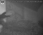 Capi_Dubne_20250813_002503.jpg