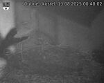 Capi_Dubne_20250813_004002.jpg