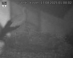 Capi_Dubne_20250813_010002.jpg