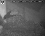Capi_Dubne_20250813_021502.jpg