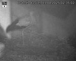 Capi_Dubne_20250813_023502.jpg