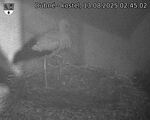 Capi_Dubne_20250813_024502.jpg